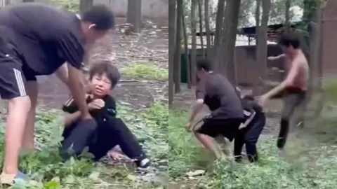 山东临清王集村霸凌事件