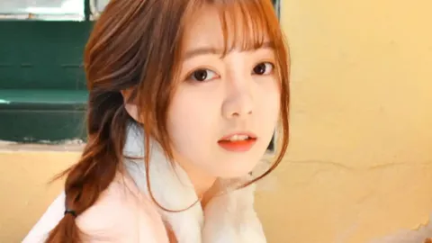 冯小刚欠税公告